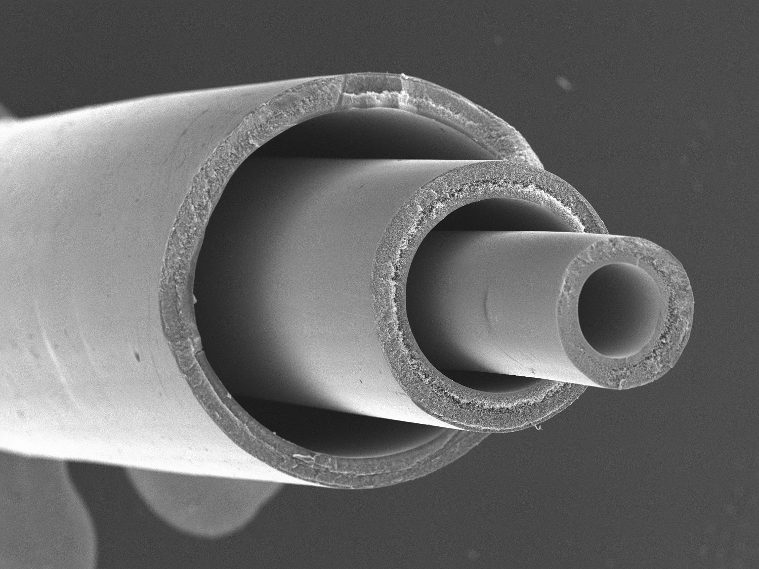 新発売！ザルトリウスのシングルユースホロファイバー（Hollow Fiber Tangential Flow Products） | ザルトリウス・グループ  | PTJ WEB展示場 | PHARM TECH JAPAN ONLINE-製剤技術とGMPの最先端技術情報サイト